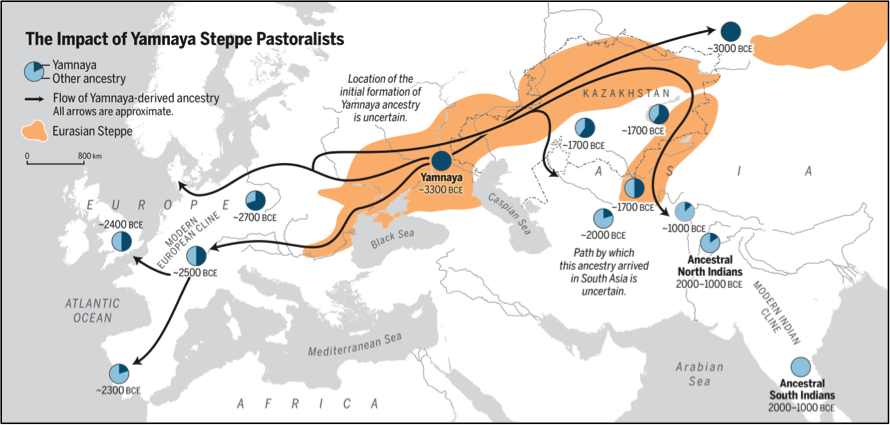 Impacto de las migraciones de los pueblos Yamnaya./Oliver Uberti y Science