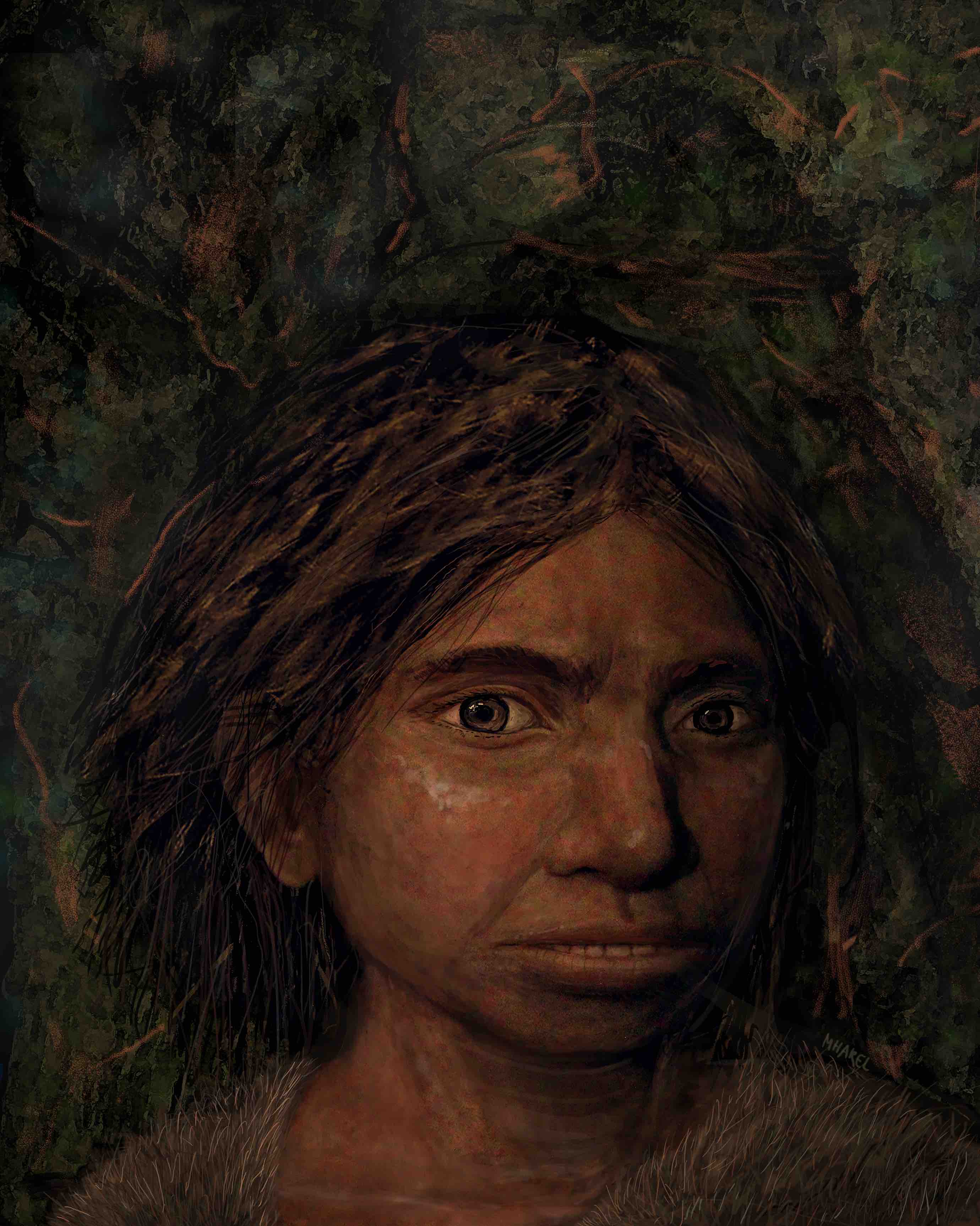 Drawing of a Denisovan girl. Credit: Maayan Harel