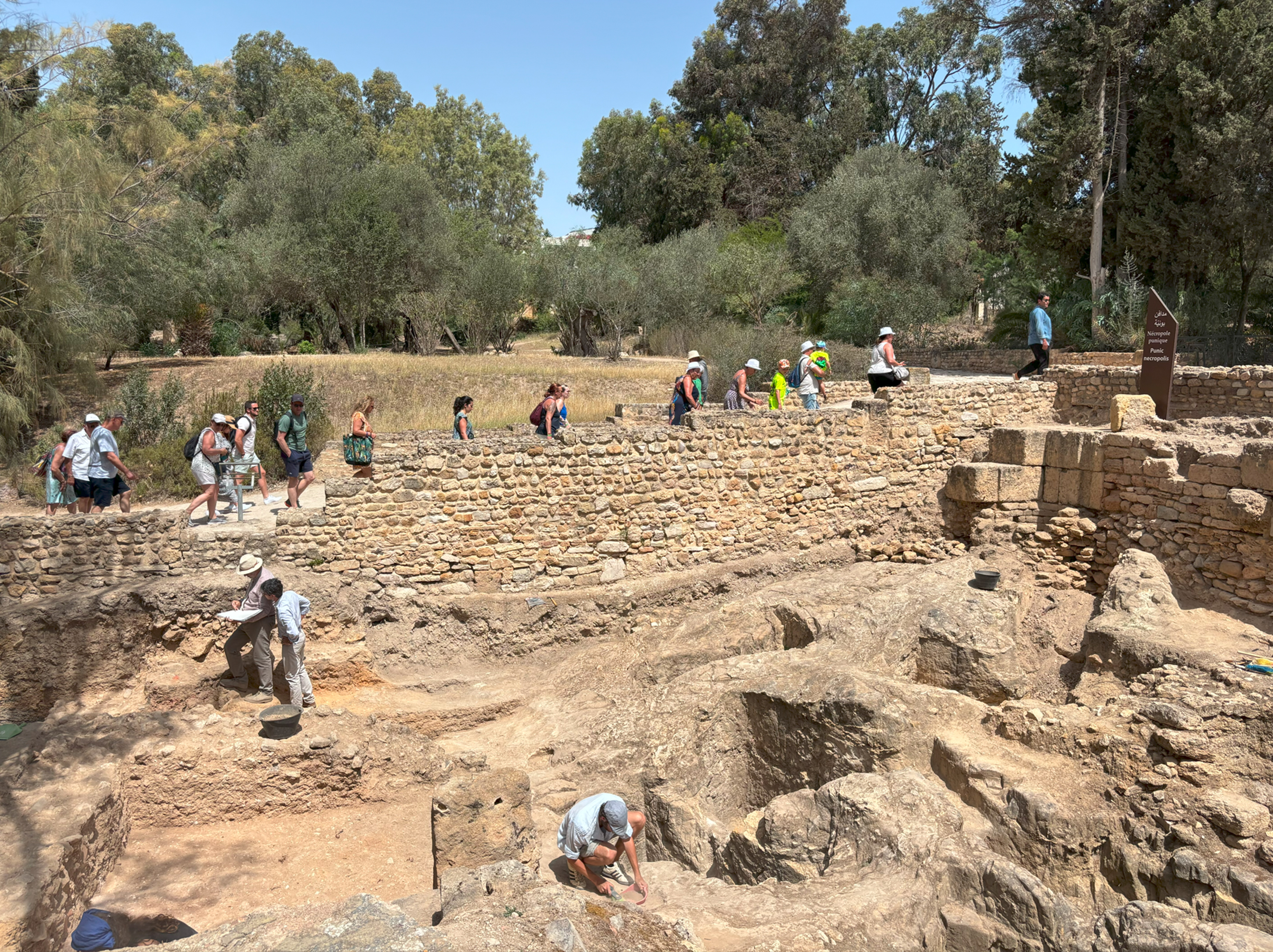 Imatge inicial - Excavations at the Dermech necropolis in Carthage by the INP-Sapienza mission. Credits: Lorenzo Nigro.