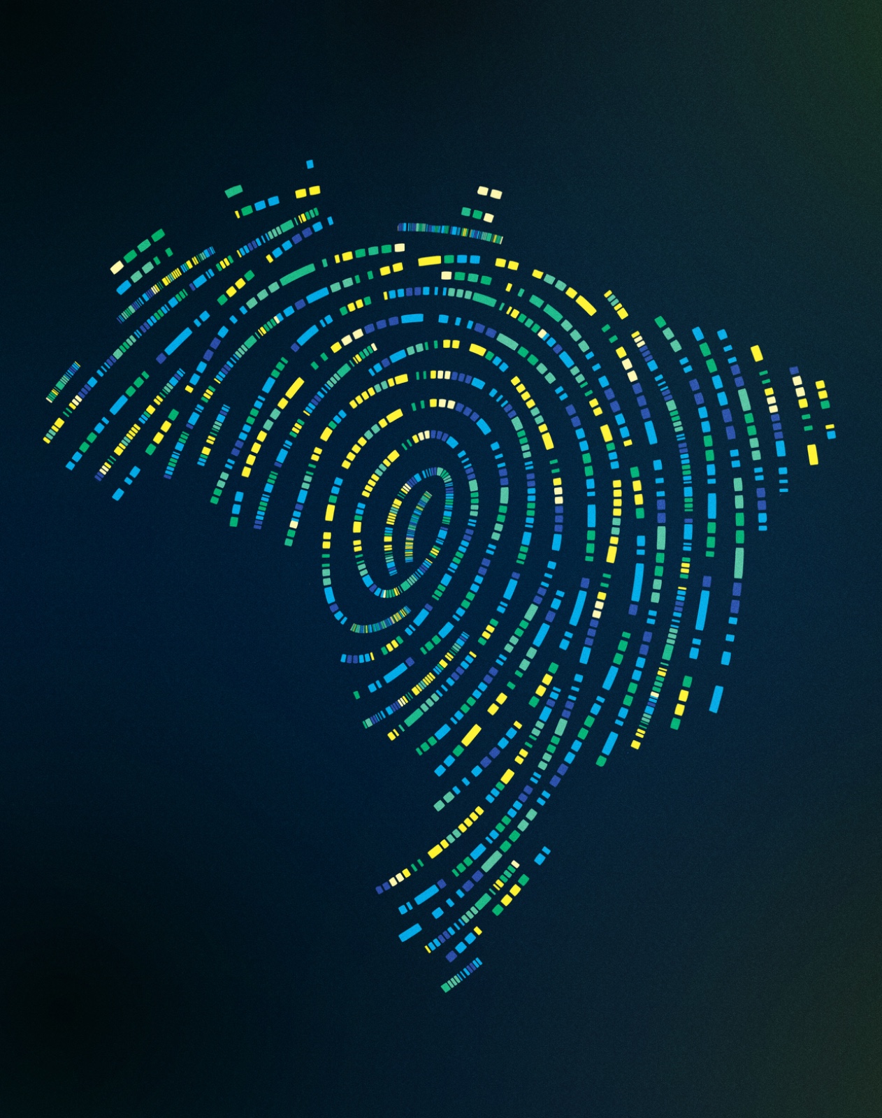 Imatge inicial - A Genomic Footprint of Brazil: Tracing five centuries of admixture and diversity. This image illustrates a stylized genetic fingerprint in the shape of Brazil, symbolizing the country's unique genetic mosaic shaped by centuries of demographic and evolutionary processes. The spiral pattern alludes to the central Amazonian dispersal of Indigenous peoples and the subsequent demographic transformations following European colonization. Credit to Pedro Bortolini.