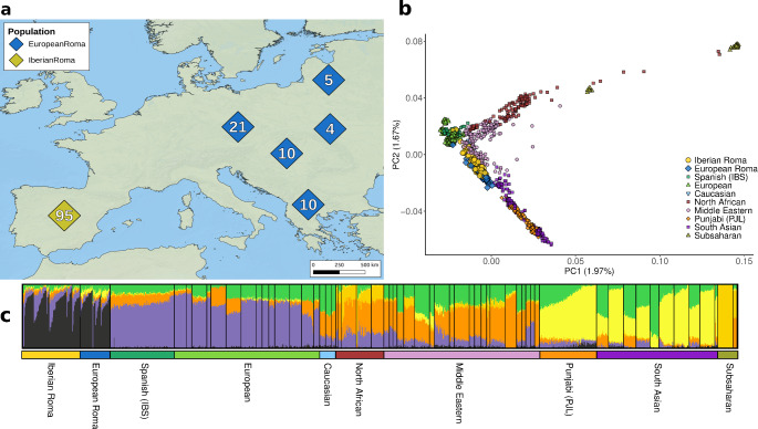 Imatge inicial - Estructura genètica de la població dels grups gitanos europeus (Imatge: Human Genetics)
