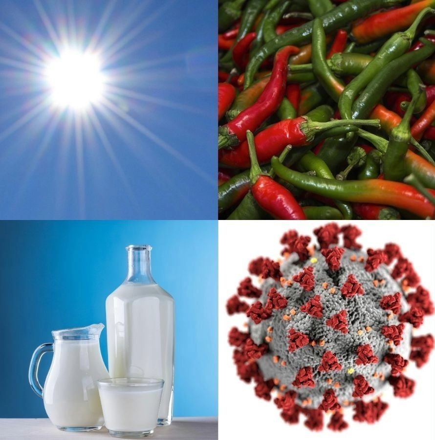 Imatge inicial - In the Iberian Peninsula, genetic traces of various selective pressures have been detected, related to diet, solar radiation/pigmentation, and immune response to different pathogens. Sources: Pexels.