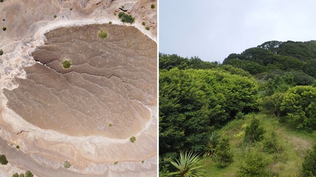 Imatge inicial - Dos biomes conviuen a l’illa d’Ascensió. A la part més baixa, ambients desèrtics (esquerra) es troben a pocs metres de boscos tropicals que coronen el cim de l’illa (dreta). Crèdit: Víctor Maull/UPF