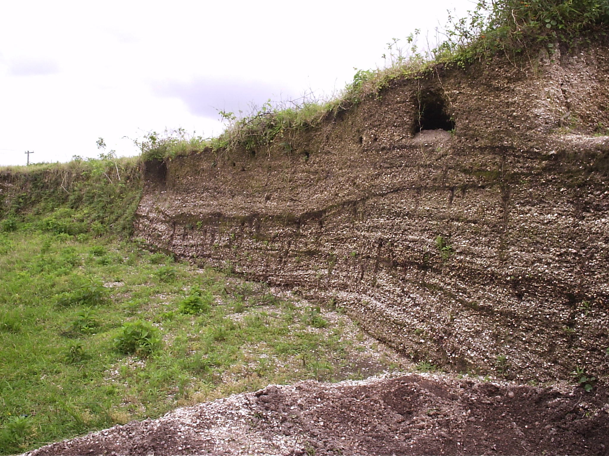 The researchers’ analyses show that sambaqui communities were not a genetically homogeneous population. Photo: Ximena Suarez Villagran