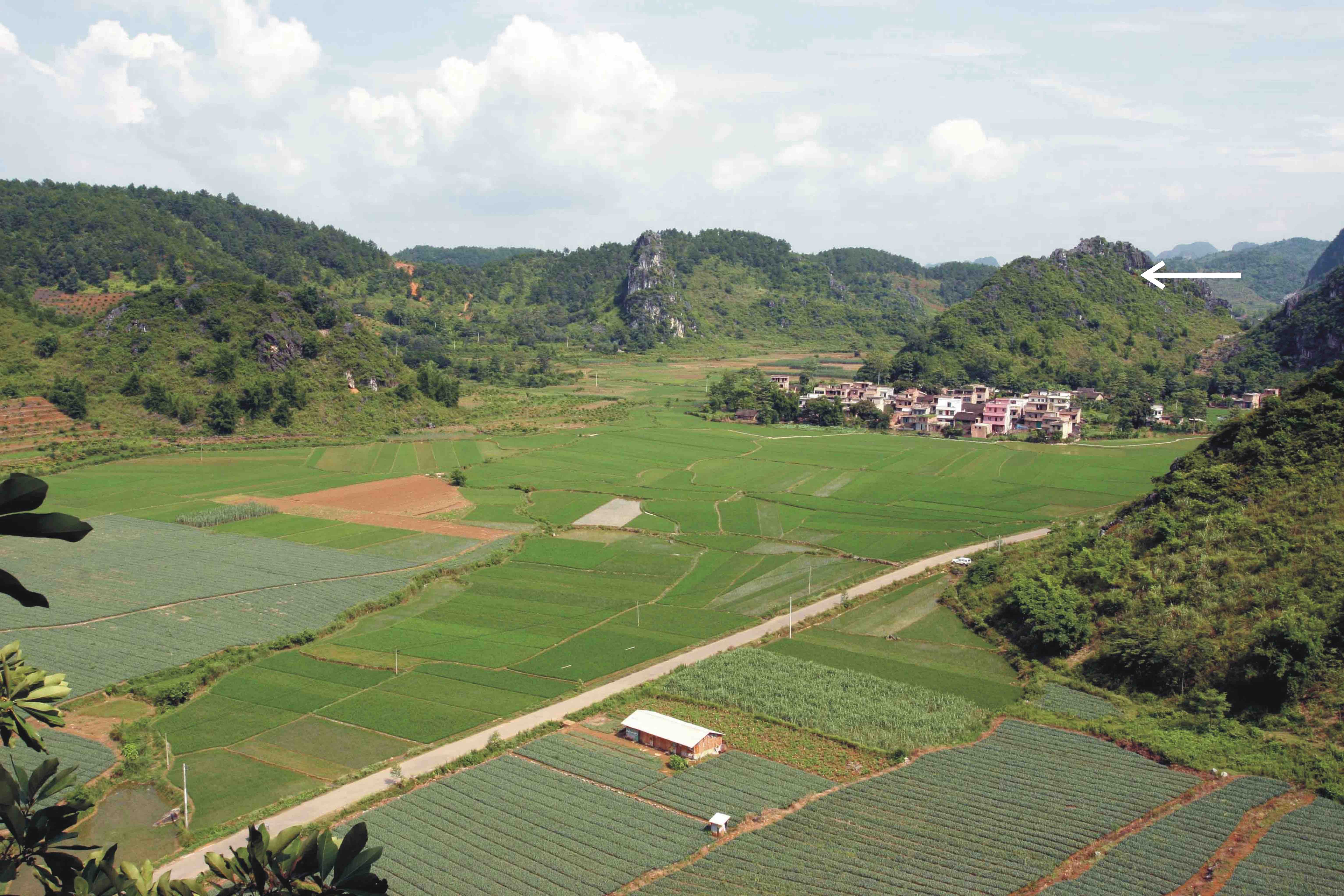 Landscape of the area surrounding Chuifeng cave (China). The arrow indicates the position of the cave. Credits: Prof. Wei Wang Landscape of the area surrounding Chuifeng cave (China). The arrow indicates the position of the cave. Credits: Prof. Wei Wang