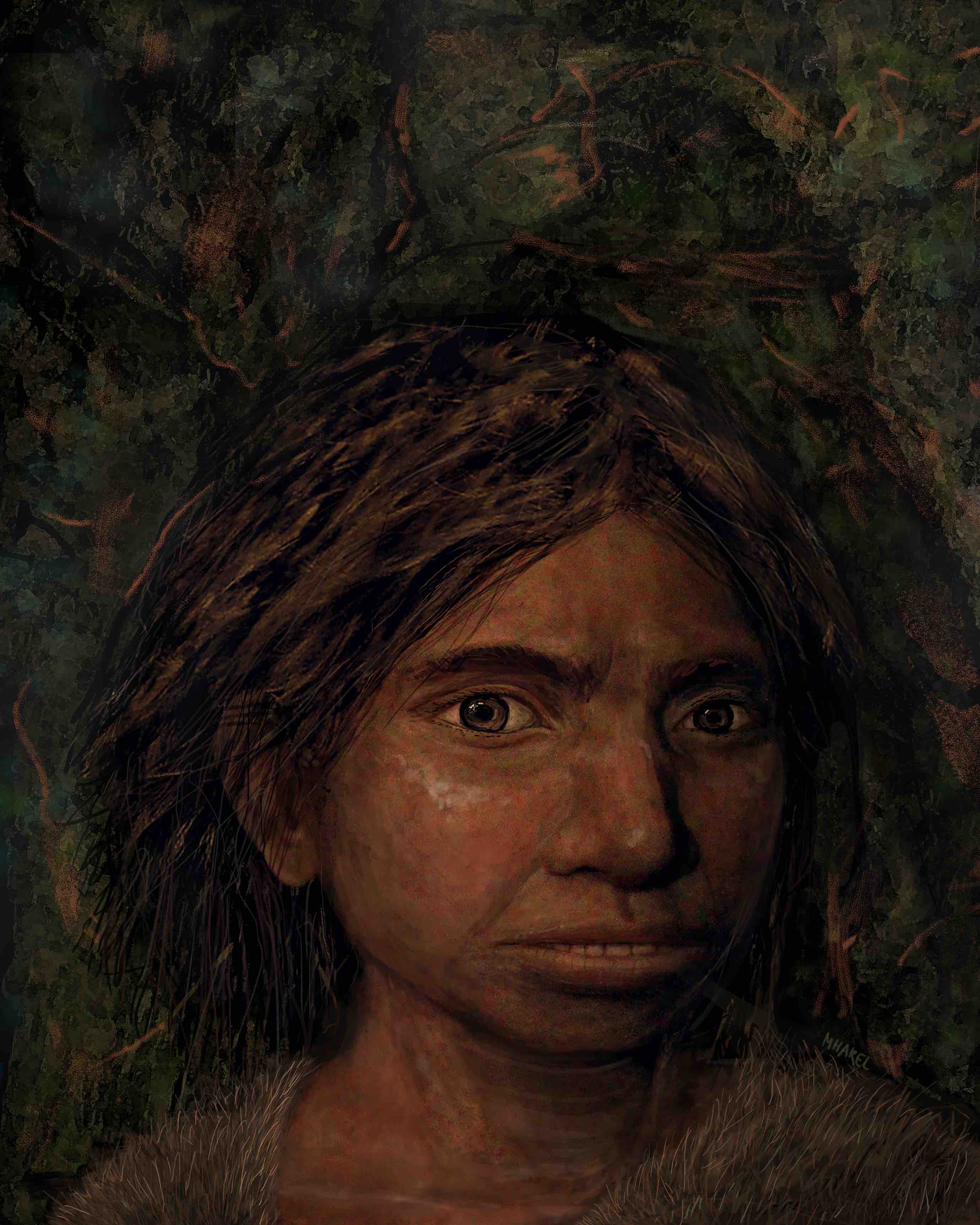 Drawing of a Denisovan girl. Credit: Maayan Harel Drawing of a Denisovan girl. Credit: Maayan Harel