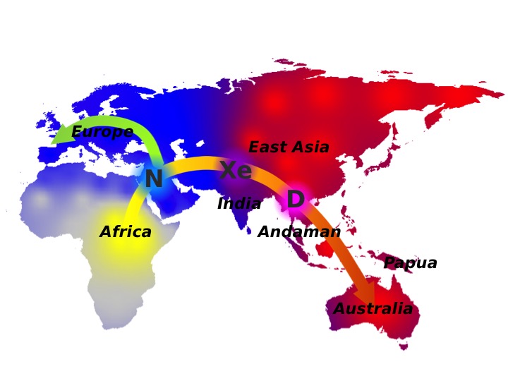 FIG 2: Map of the introgression of the unknown species.