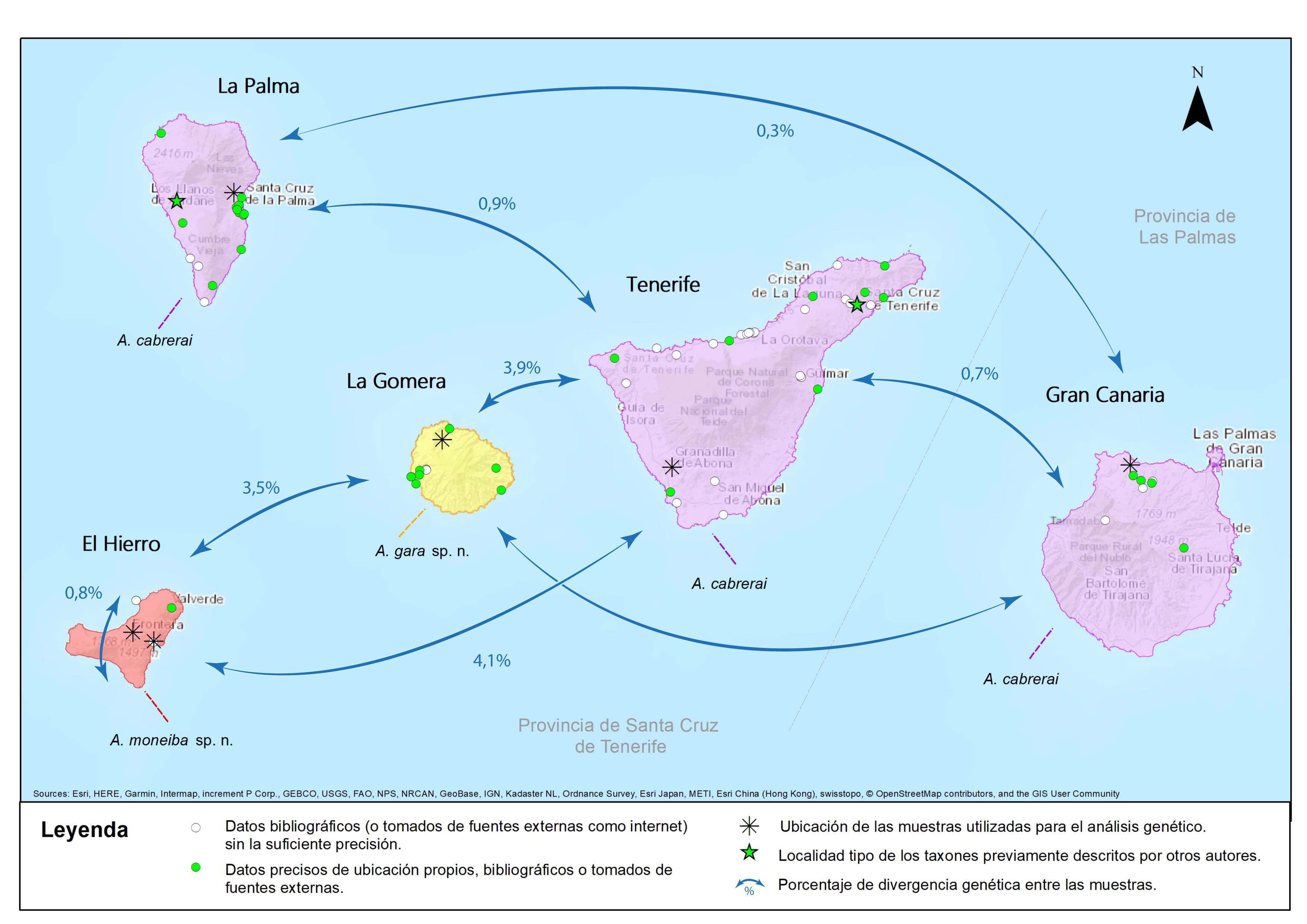 Amicta: distancias genéticas entre islas
