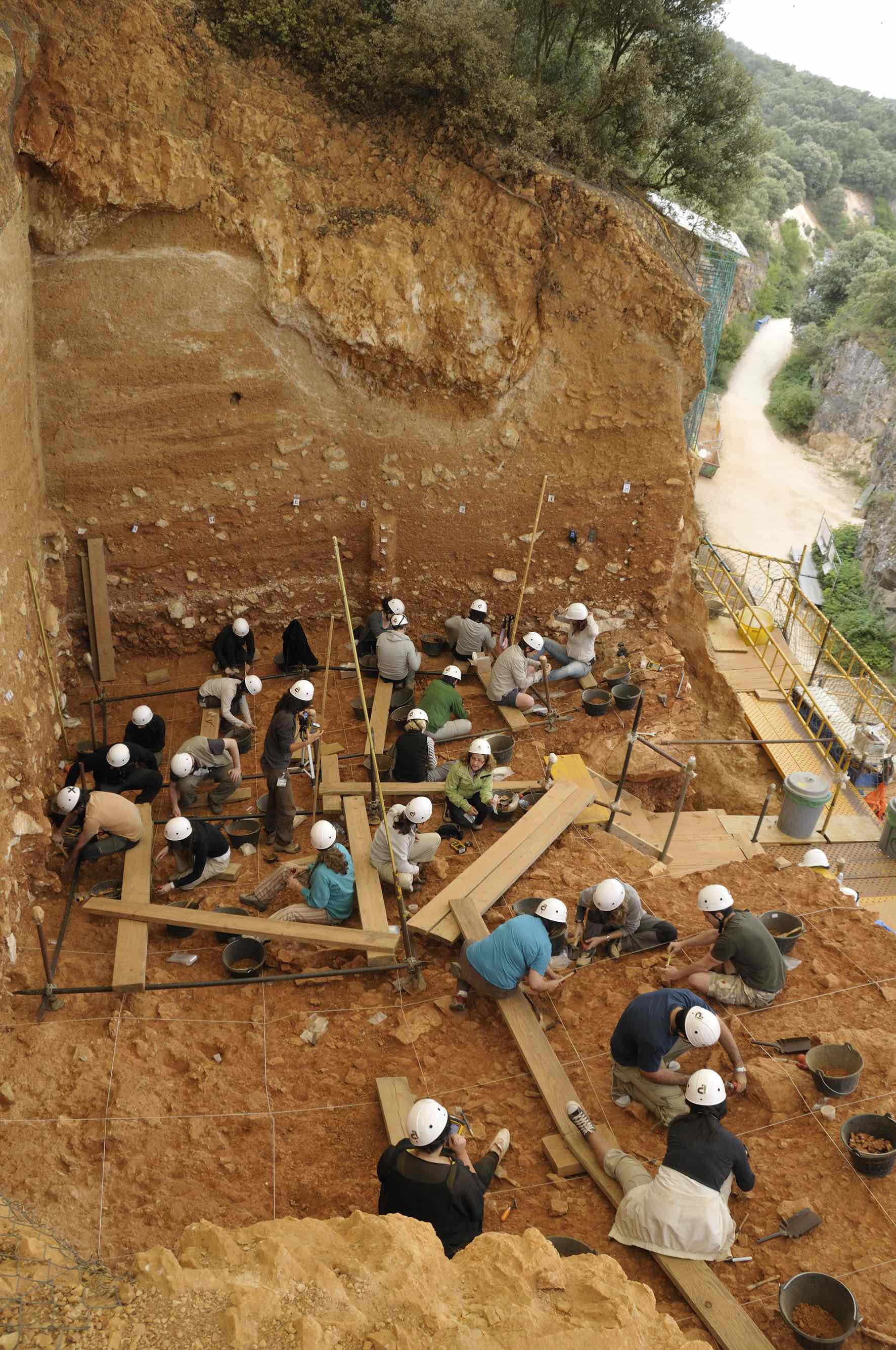 La Gran Dolina conserva un registro muy amplio de las poblaciones de homininos del Pleistoceno. Crédito: Prof. José María Bermúdez de Castro.
