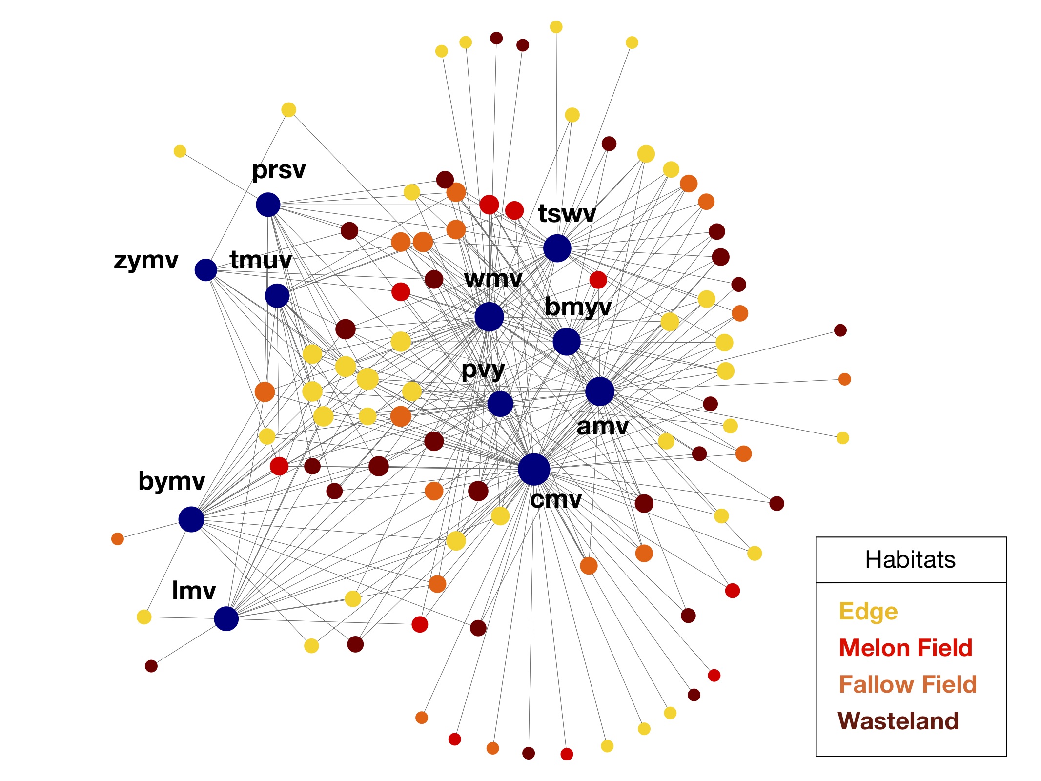 El nuevo objeto matemático mejora la teoría de las redes ecológicas al ofrecer una visión integradora de las infecciones en el medio natural. Utilizando esta nueva representación matemática, se puede estudiar la relación entre hábitat y posibilidad de infección de forma directa.