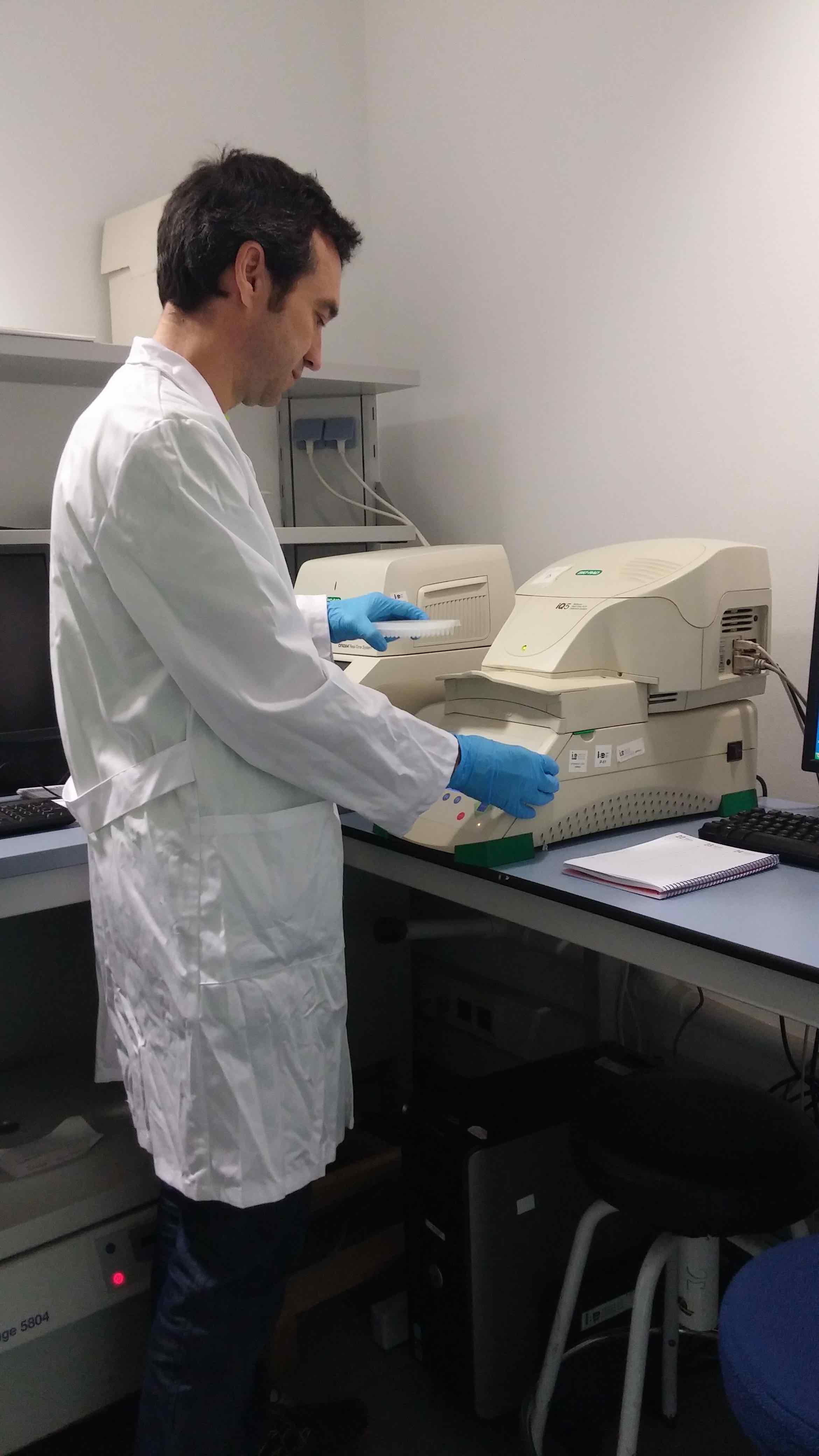 Salvador Carranza, investigador implicat en l'estudi, treballant al seu laboratori de l'IBE (CSIC-UPF). Autor: Dani Fernández.