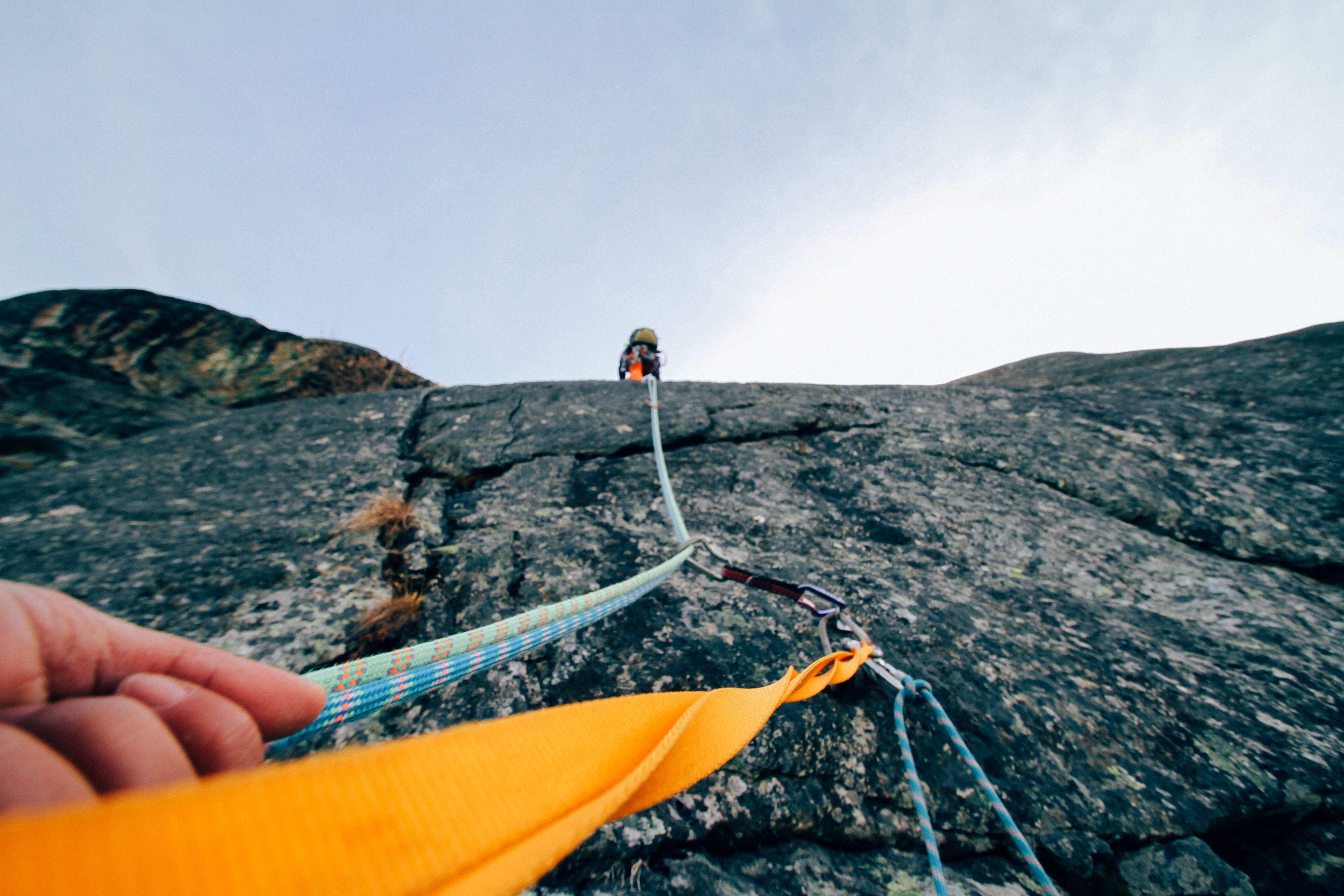 Photo by riciardus via Pexels.