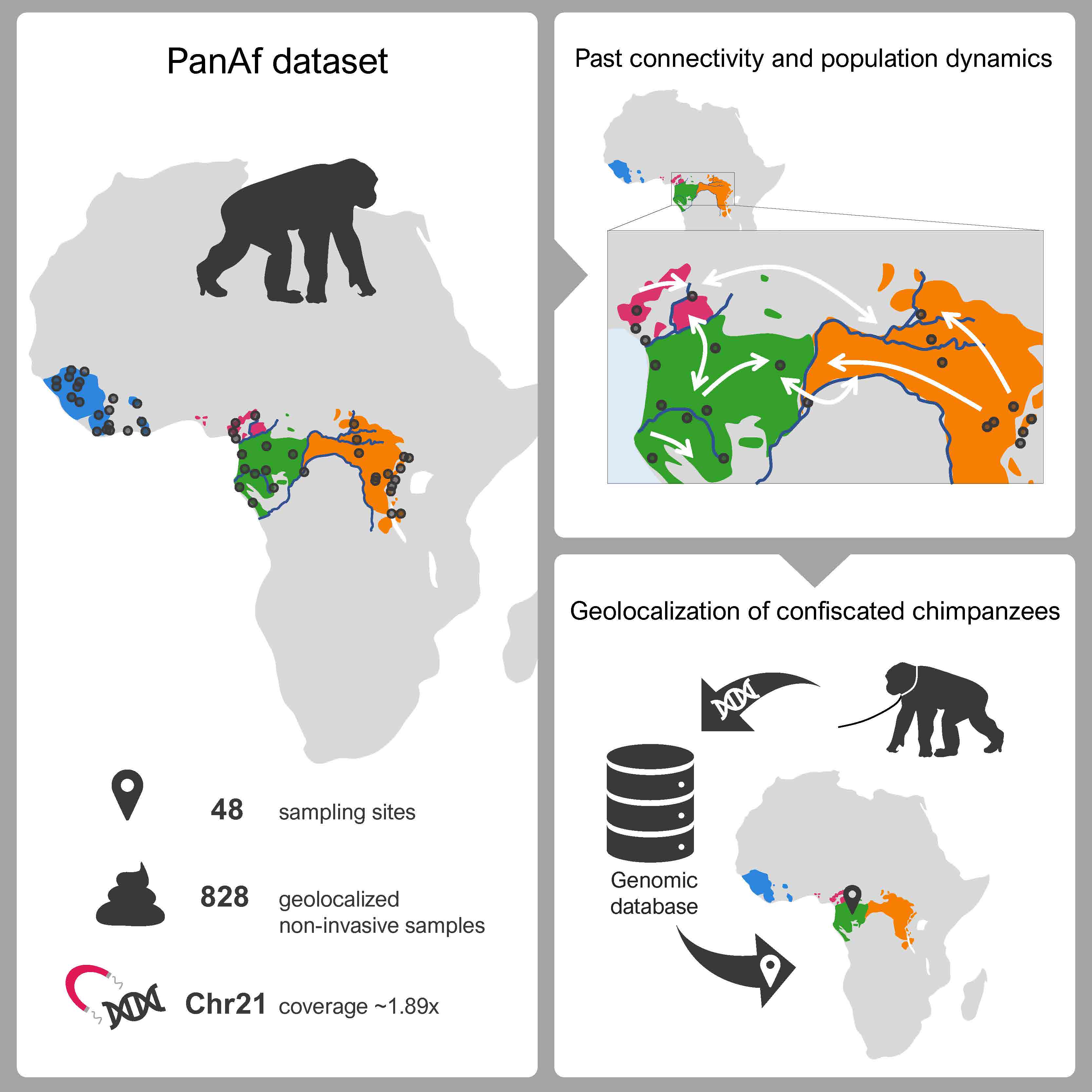 Graphic abstract of the study. Credit: Marina Álvarez-Estapé