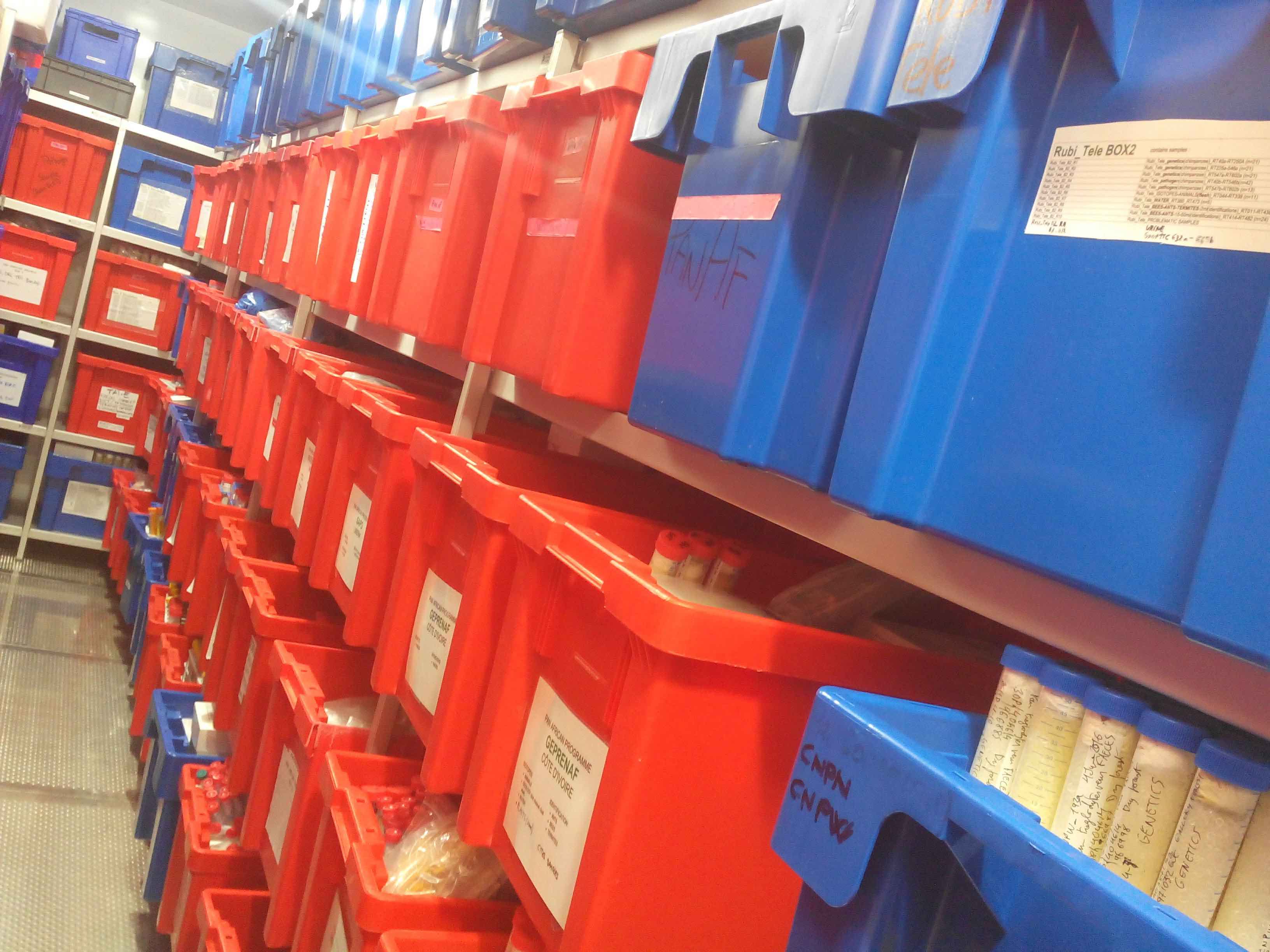 Faecal samples in storage. Credit: PanAf/Paula Dieguez