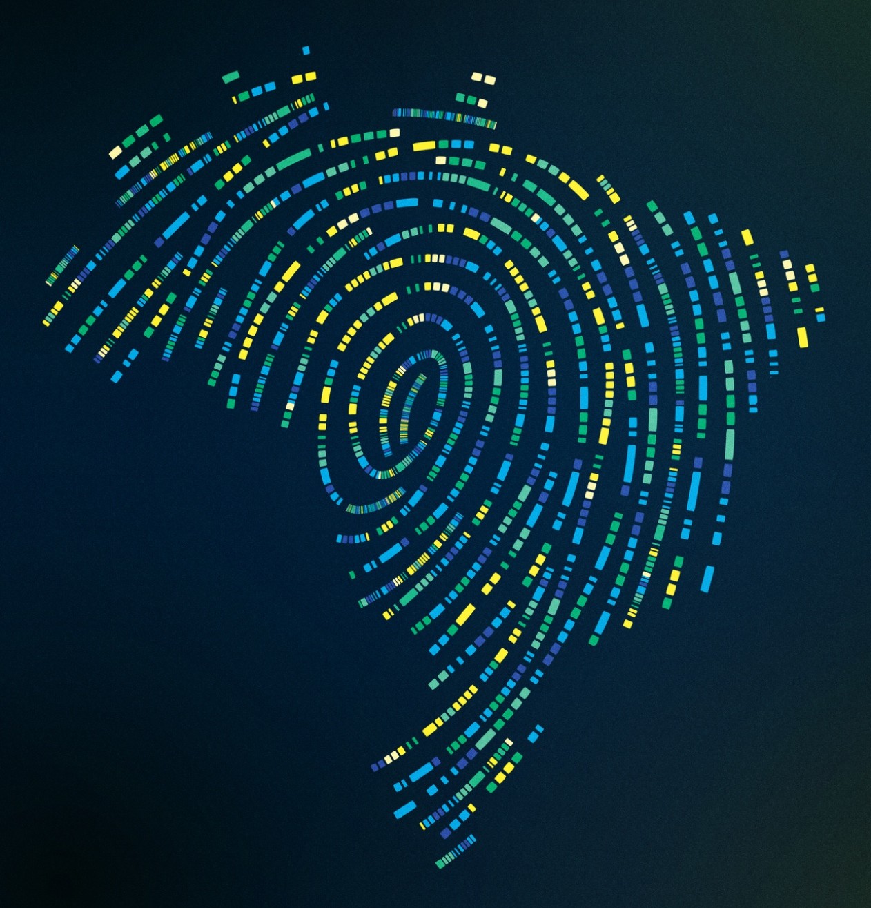 A Genomic Footprint of Brazil: Tracing five centuries of admixture and diversity. This image illustrates a stylized genetic fingerprint in the shape of Brazil, symbolizing the country's unique genetic mosaic shaped by centuries of demographic and evolutionary processes. The spiral pattern alludes to the central Amazonian dispersal of Indigenous peoples and the subsequent demographic transformations following European colonization. Credit to Pedro Bortolini. Imatge inicial - A Genomic Footprint of Brazil: Tracing five centuries of admixture and diversity. This image illustrates a stylized genetic fingerprint in the shape of Brazil, symbolizing the country's unique genetic mosaic shaped by centuries of demographic and evolutionary processes. The spiral pattern alludes to the central Amazonian dispersal of Indigenous peoples and the subsequent demographic transformations following European colonization. Credit to Pedro Bortolini.