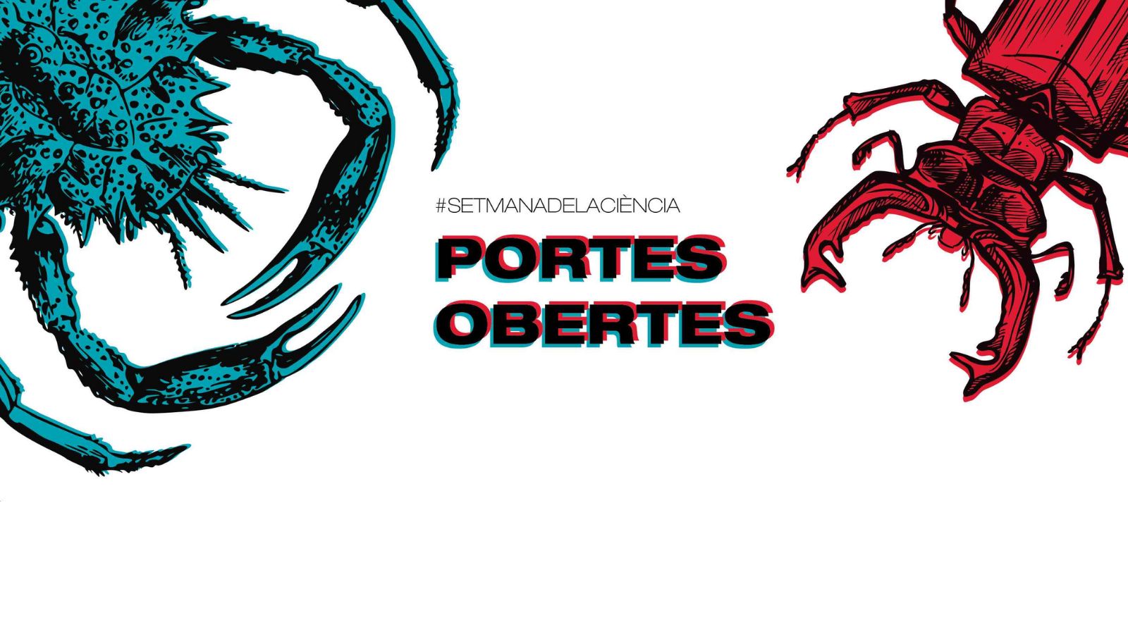 Imatge inicial -